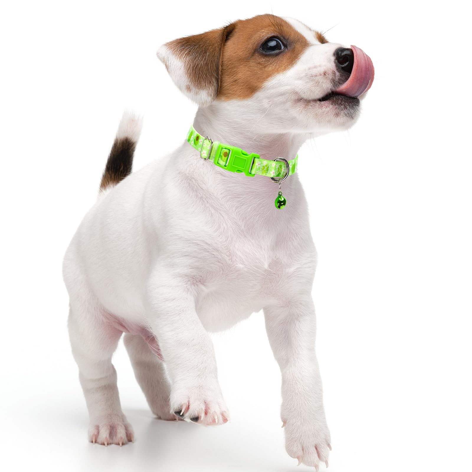 MAOWUWUJOZ Avocado collar durability high-density webbing close-up