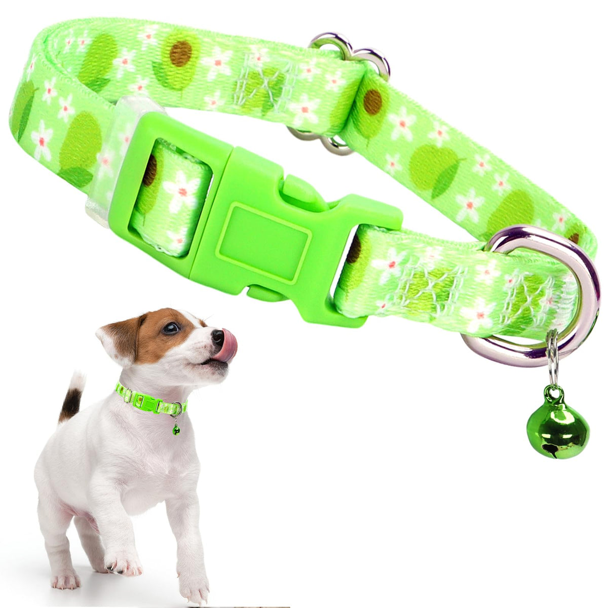 MAOWUWUJOZ Avocado collar XS front view with bell for audible pet location