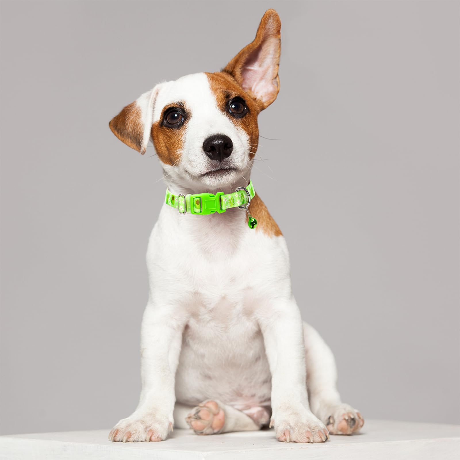 MAOWUWUJOZ Avocado collar in packaging highlighting eco-friendly materials