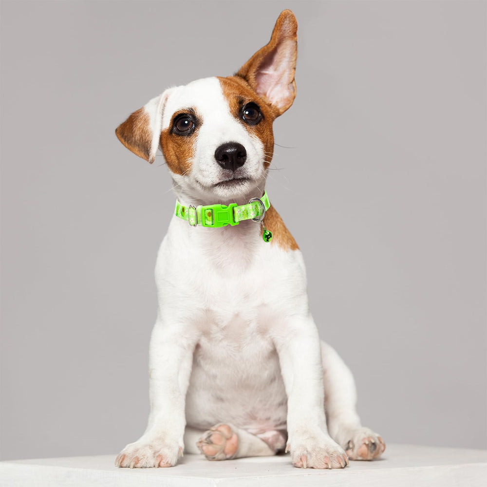 MAOWUWUJOZ Avocado collar in packaging highlighting eco-friendly materials