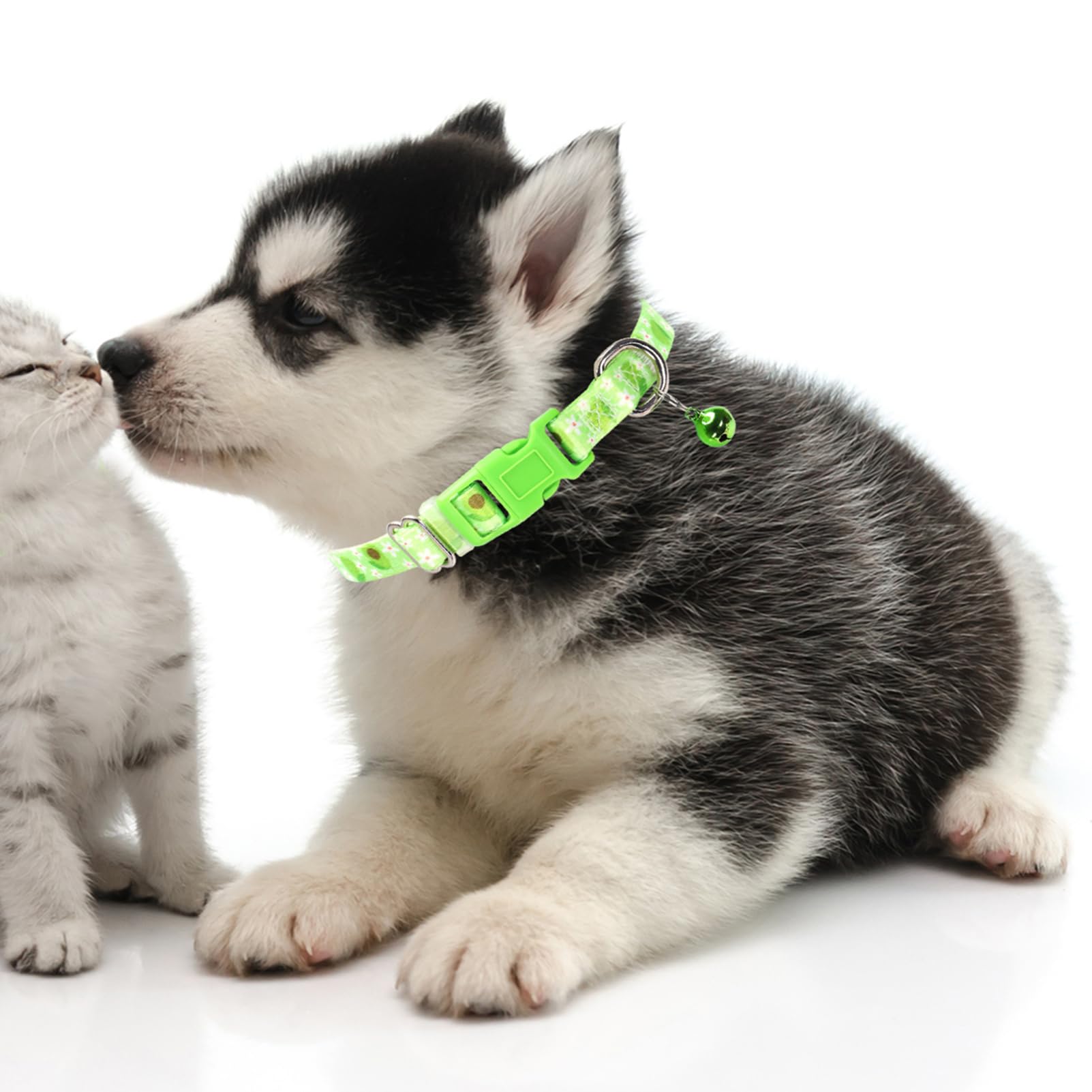 MAOWUWUJOZ Avocado collar XS side view showing sturdy buckle