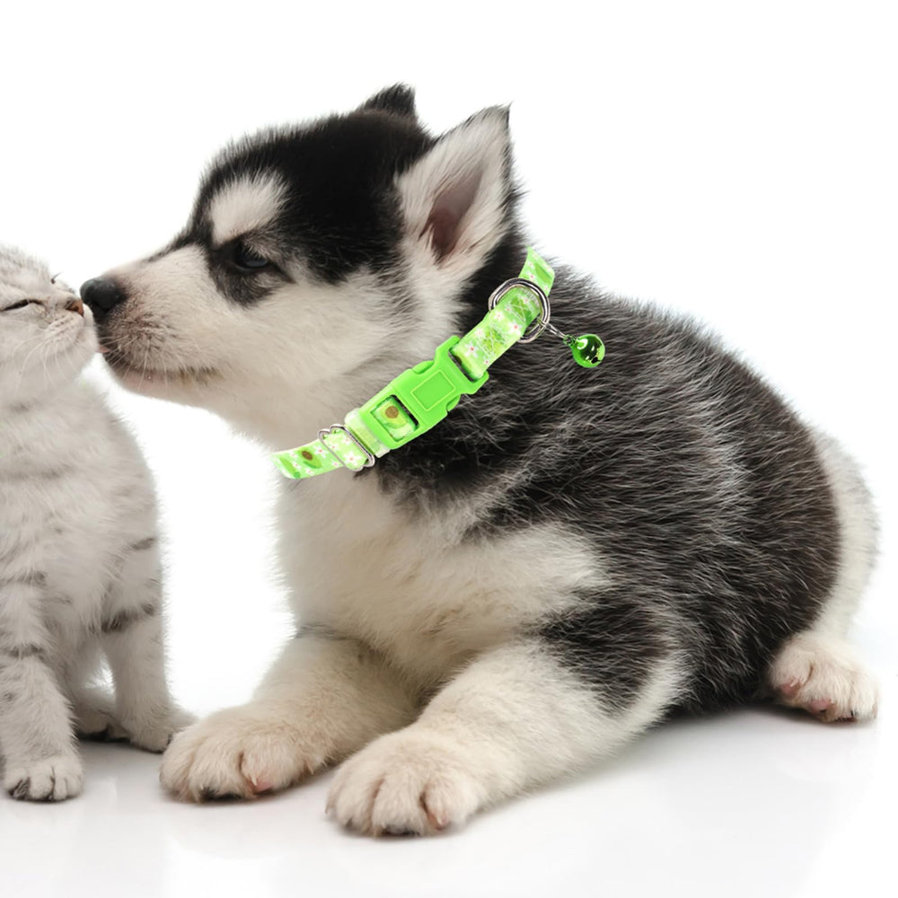 MAOWUWUJOZ Avocado collar XS side view showing sturdy buckle