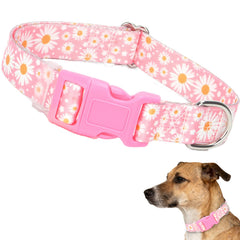 MAOWUWUJOZ Daisy L pink-daisy-pattern collar for comfortable daily walks.