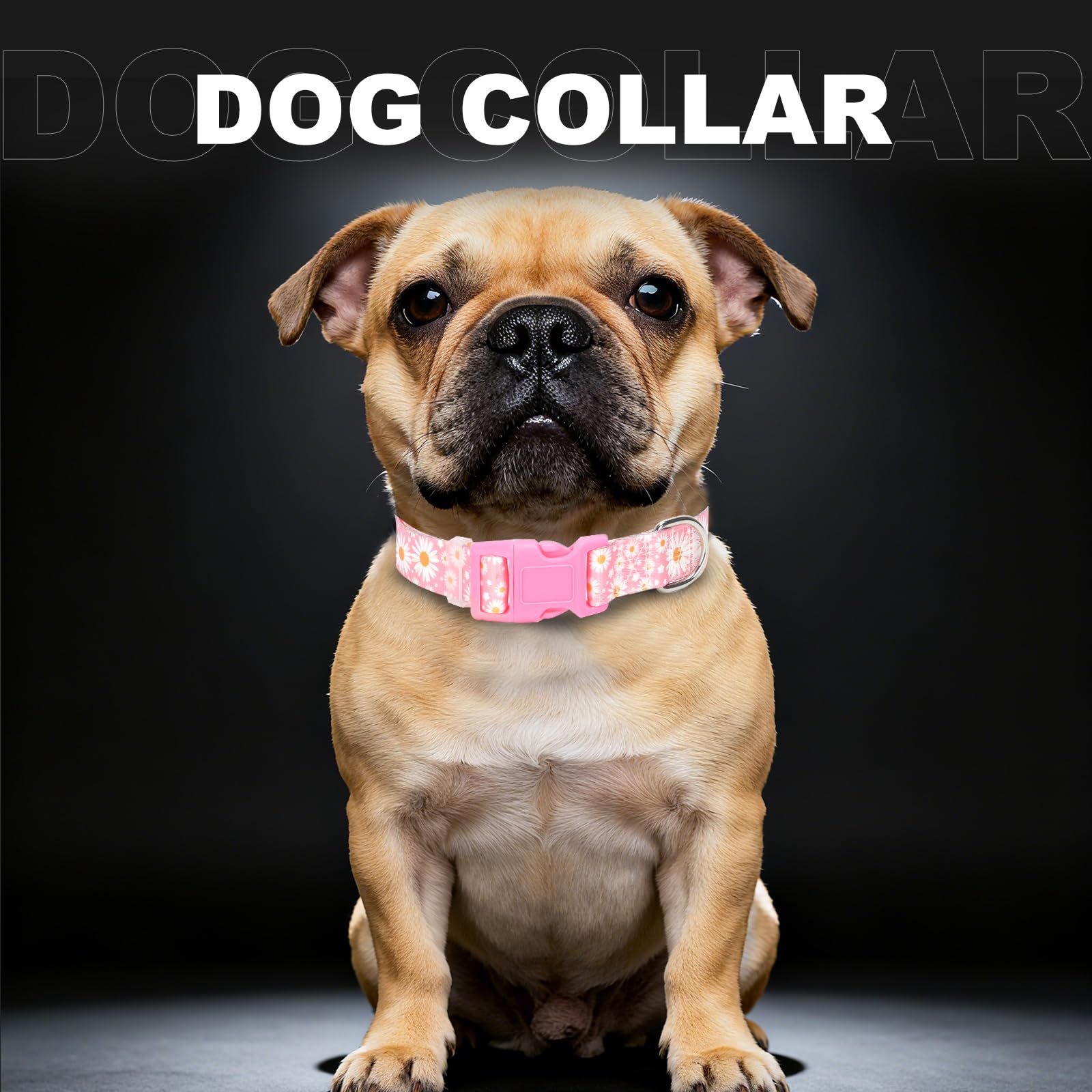 MAOWUWUJOZ Daisy L soft-nylon-collar with smooth weave for gentle contact.
