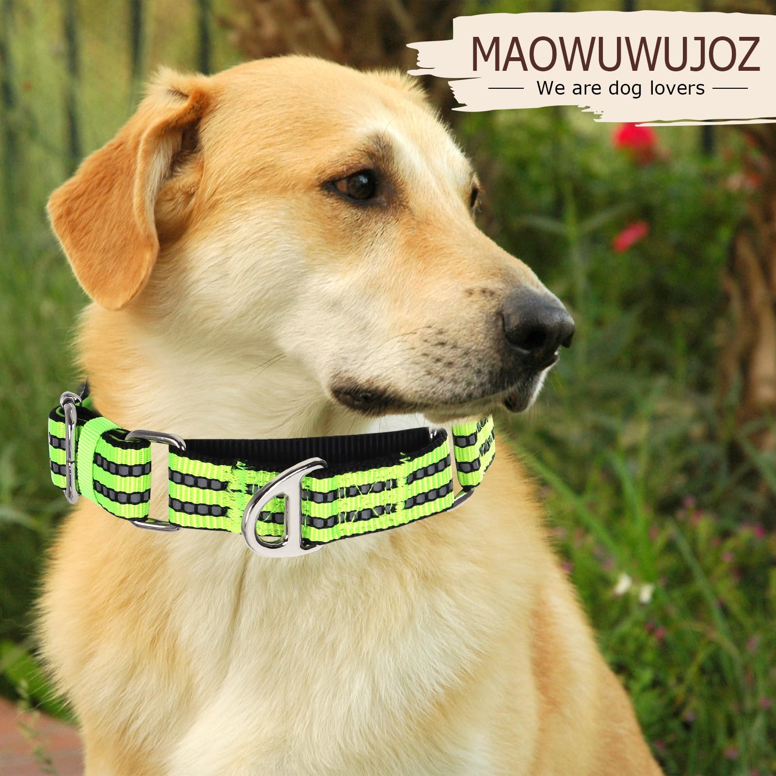 MAOWUWUJOZ martingale collar with reflective stitching for safe night walks.