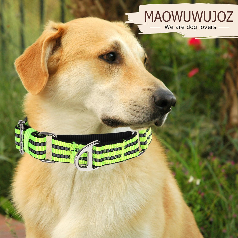 MAOWUWUJOZ martingale collar with reflective stitching for safe night walks.