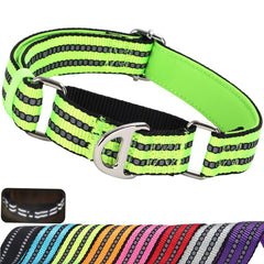 MAOWUWUJOZ martingale collar for small dogs with padded comfort during daily walks.