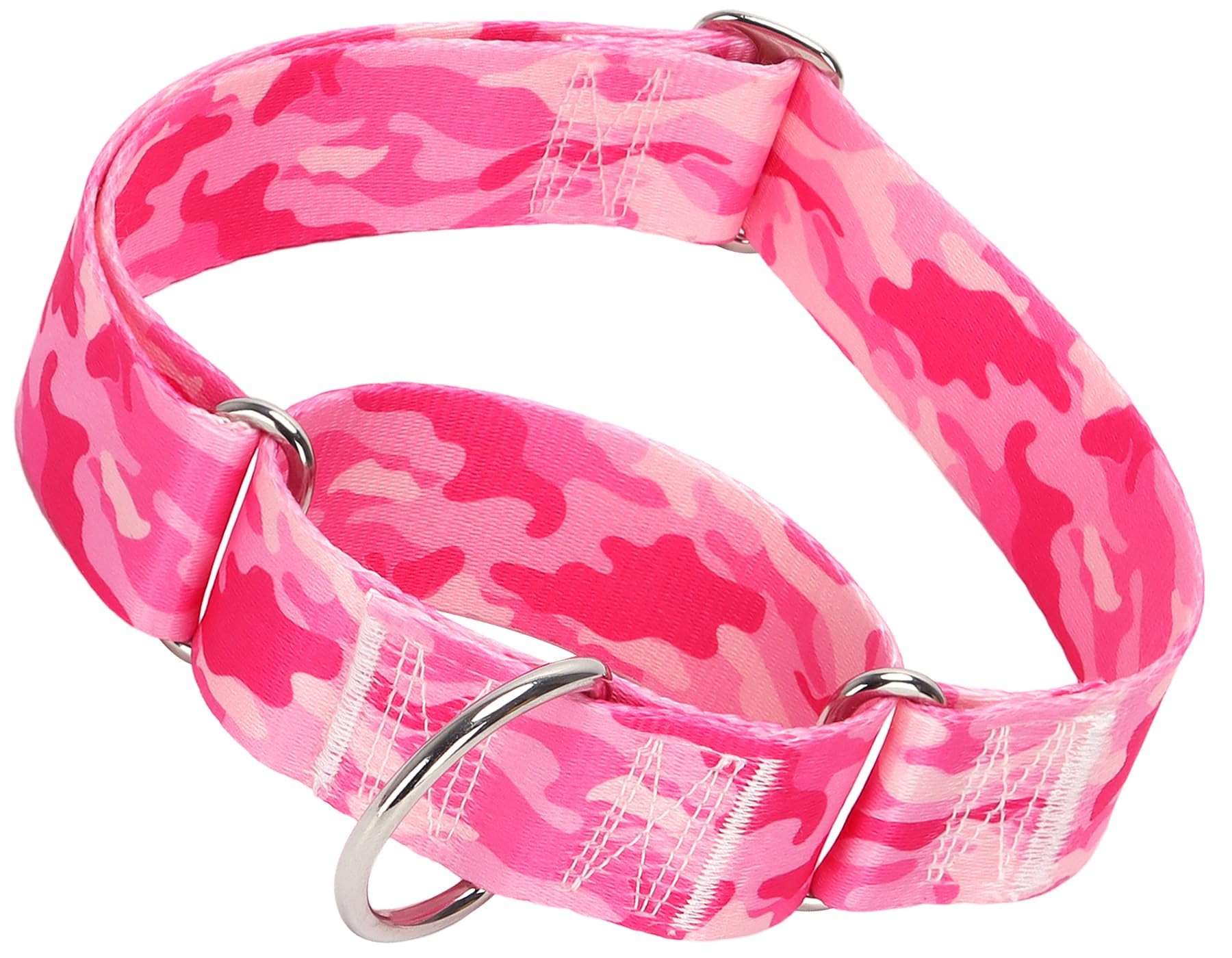 MAOWUWUJOZ martingale collar front view demonstrates sturdy build for confident training and everyday walking
