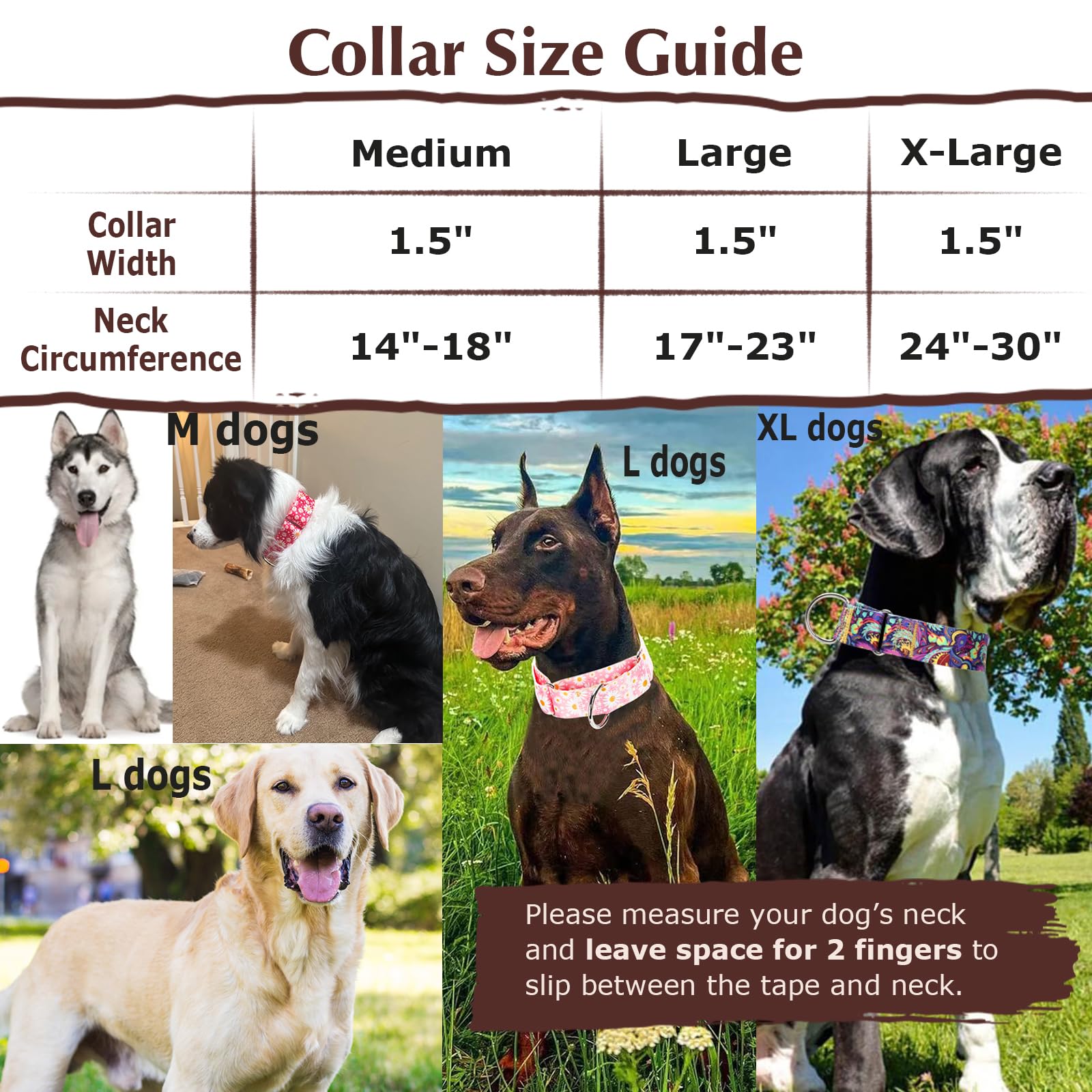 MAOWUWUJOZ collar during training offers reliable control without slipping