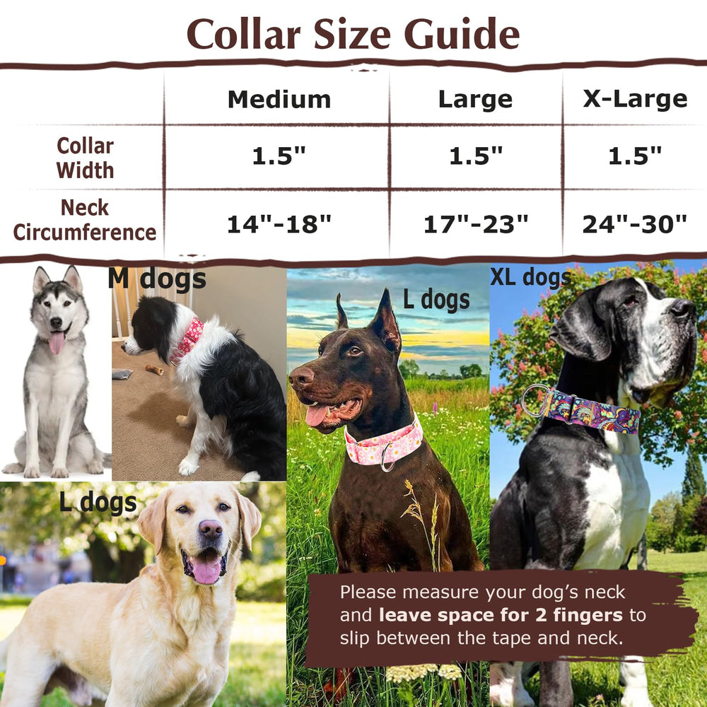 MAOWUWUJOZ collar during training offers reliable control without slipping