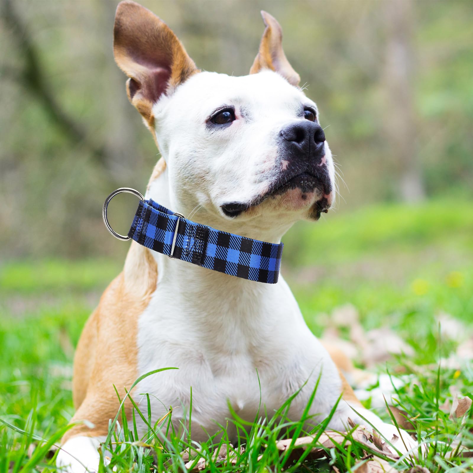 MAOWUWUJOZ martingale collar blue plaid adjustable strap promotes secure fit for training.