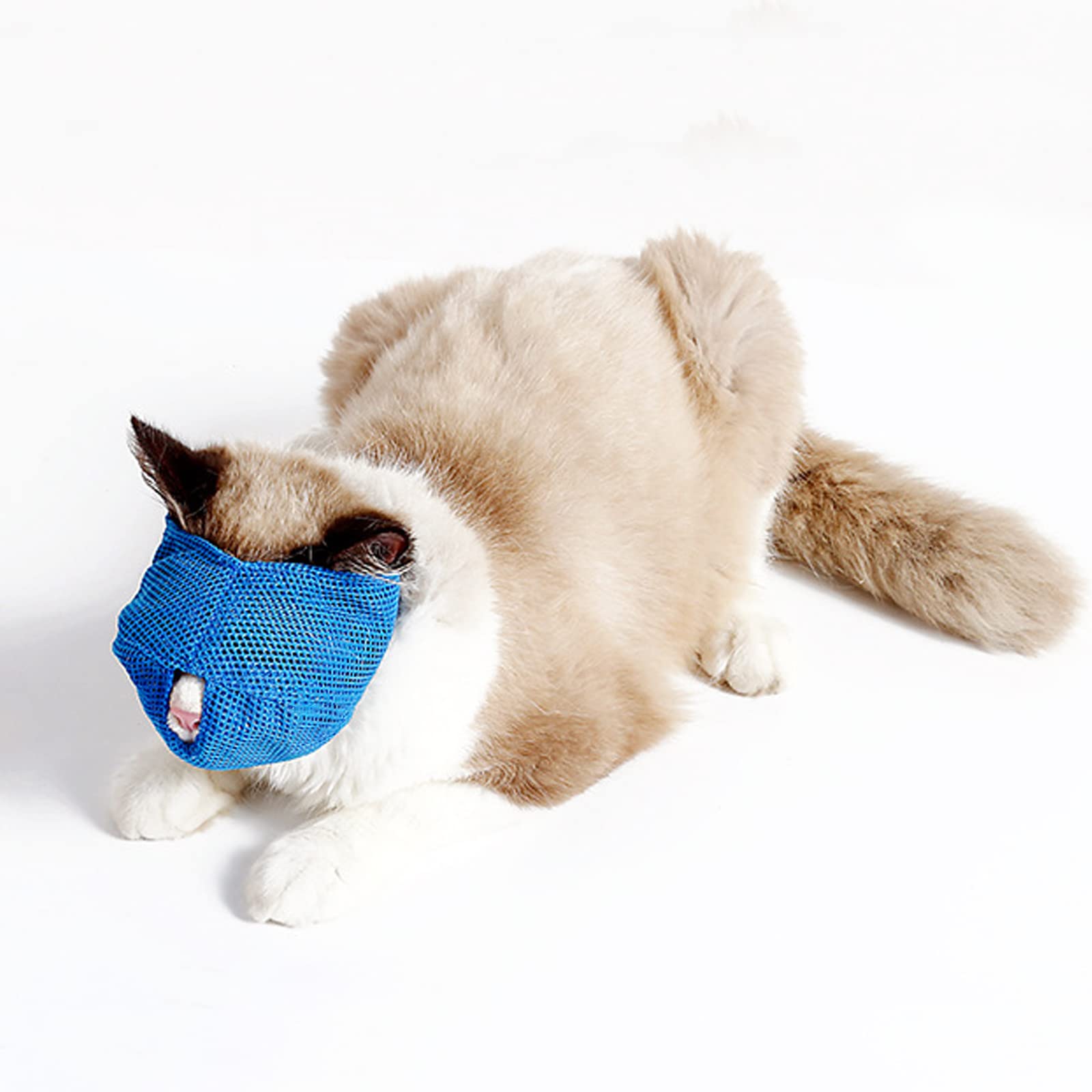 Mapifly muzzle design for easy on and off during grooming tasks