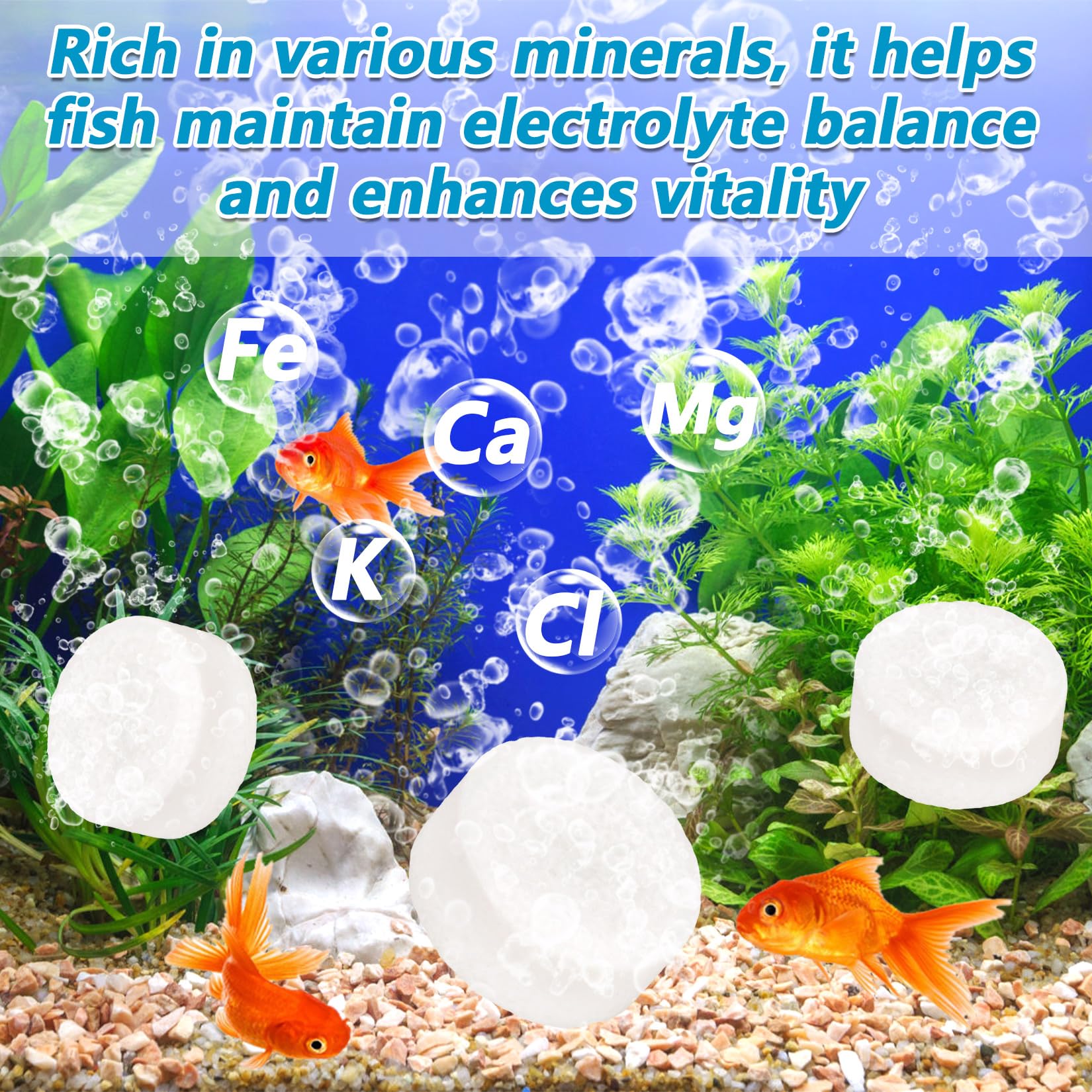MAQIHAN brackish-environment simulation helps recreate natural conditions in tanks.