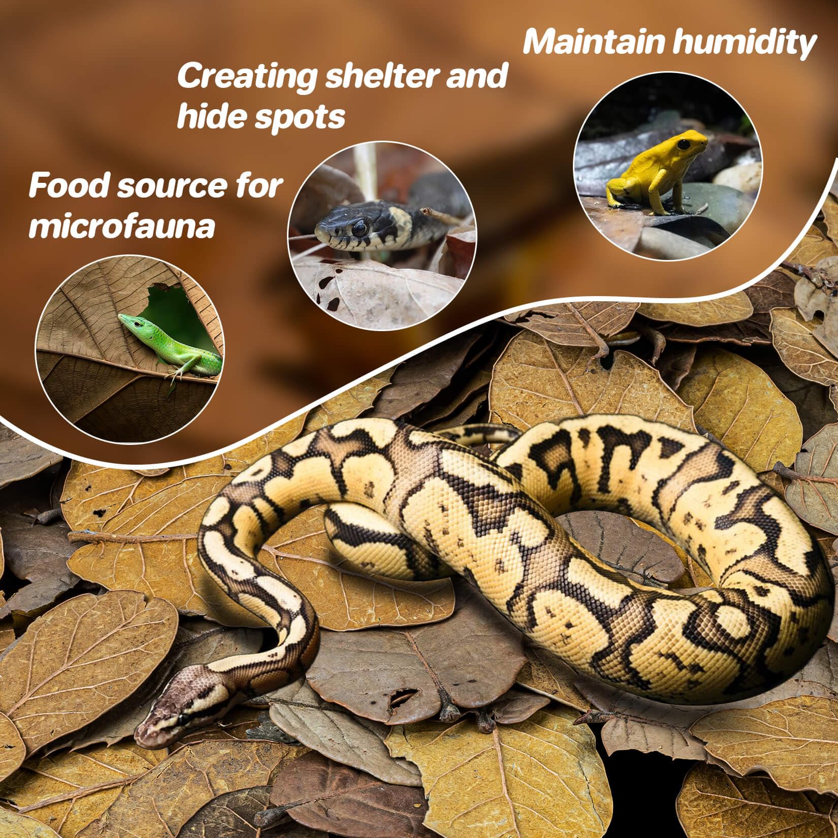 MAQIHAN oak leaf litter terrarium bedding ready-to-use substrate for naturalistic habitats