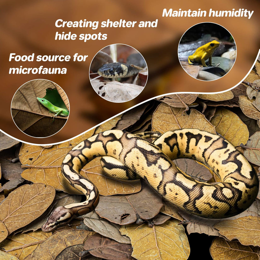 MAQIHAN oak leaf litter terrarium bedding ready-to-use substrate for naturalistic habitats