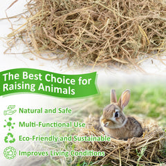 MAQIHAN dry straw in vacuum-sealed packaging highlighting freshness and portability.