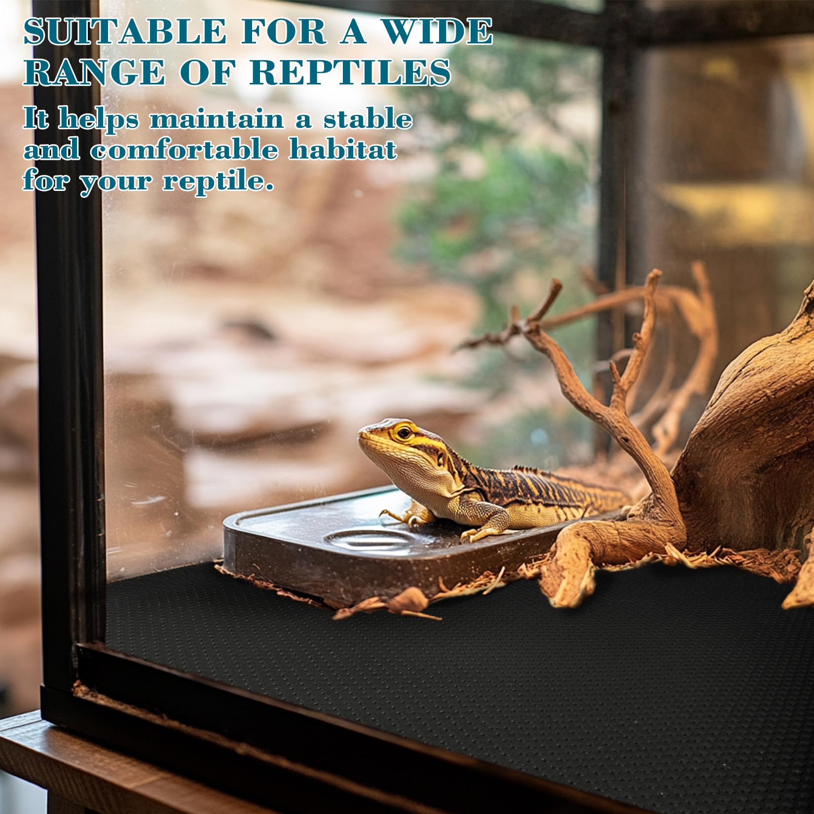 MAQIHAN easy-clean terrarium liner simplifies maintenance and keeps habitats neat