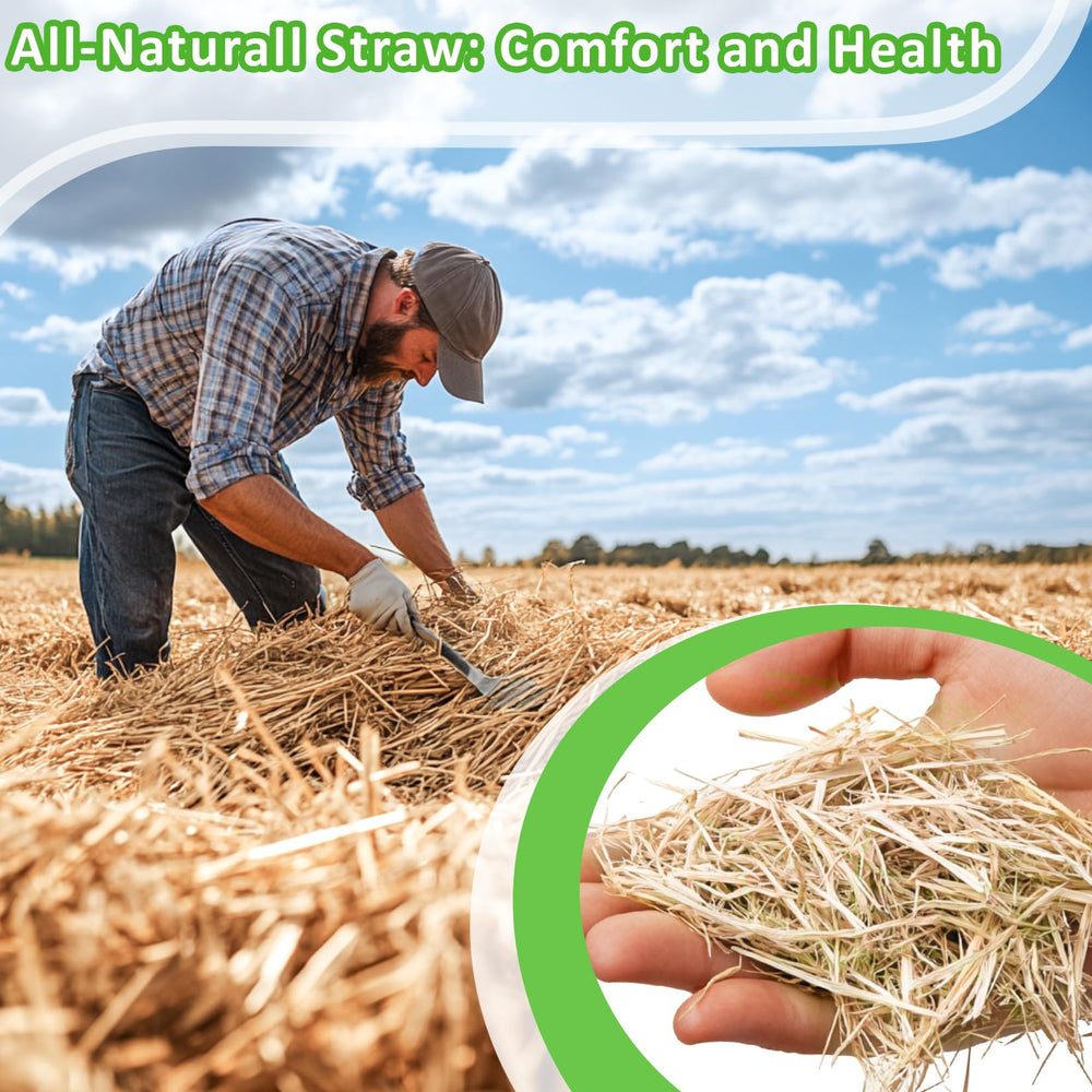 MAQIHAN straw used as garden mulch improving soil health and reducing weeds.