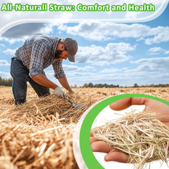 MAQIHAN straw used as garden mulch improving soil health and reducing weeds.