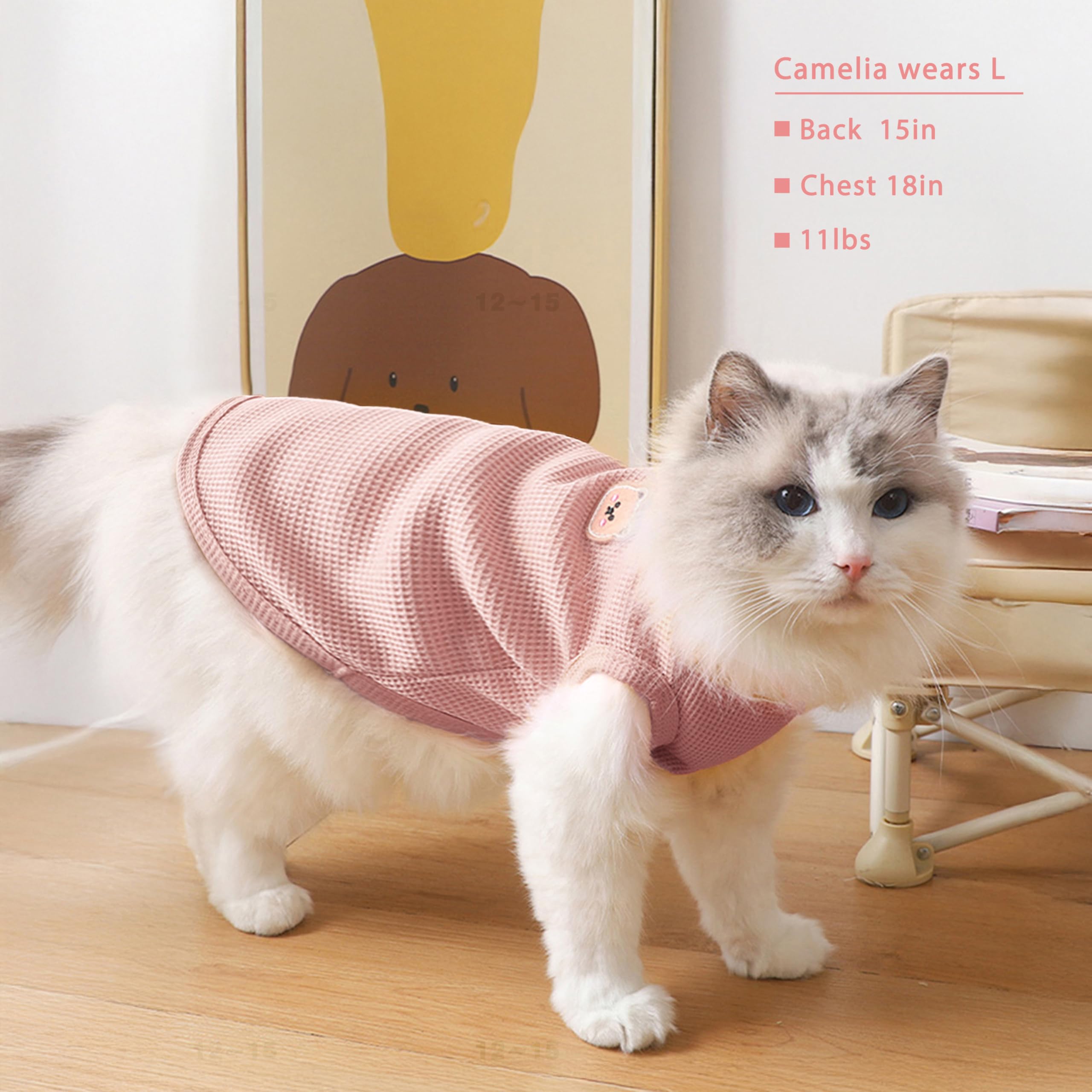 Maqilo sphynx cat wear breathable fabric close-up.