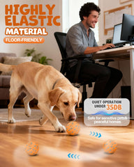 Maraiss interactive dog ball mode-crazy captures fast chasing action.