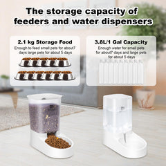 Marchul dog feeder's tilting track ensures smooth, mess-free food flow.
