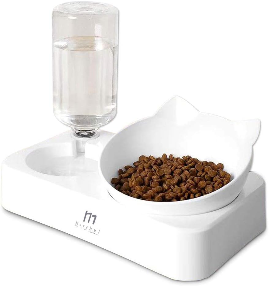Marchul double cat bowls tilted setup supports comfortable feeding for cats and small dogs