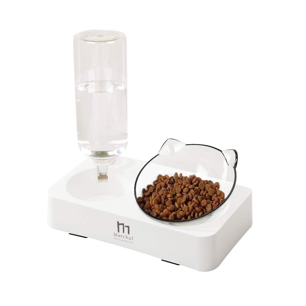Marchul double elevated bowl tilted for comfortable eating for cats and small dogs