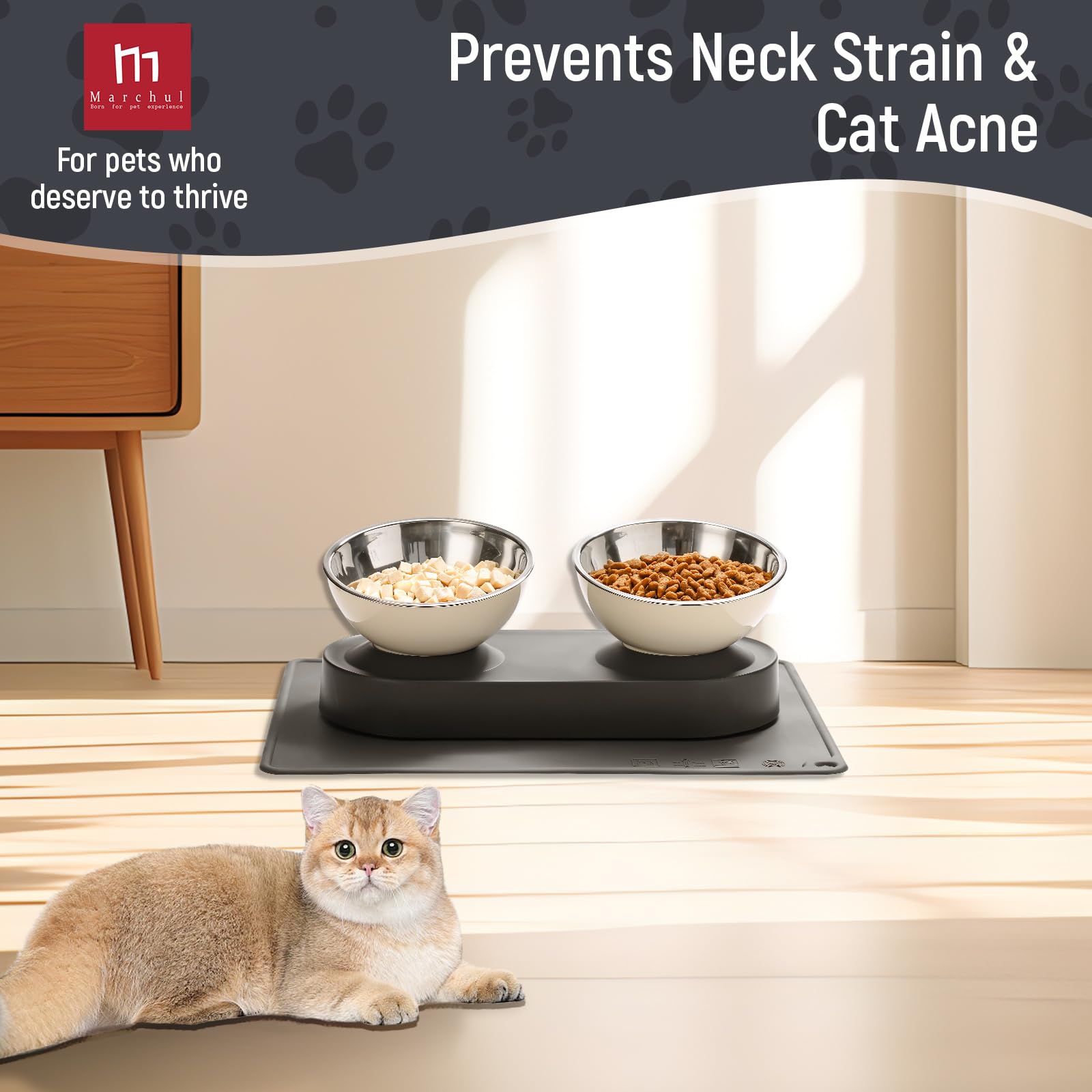 Marchul dual bowls support hydration and nutrition in one solution.