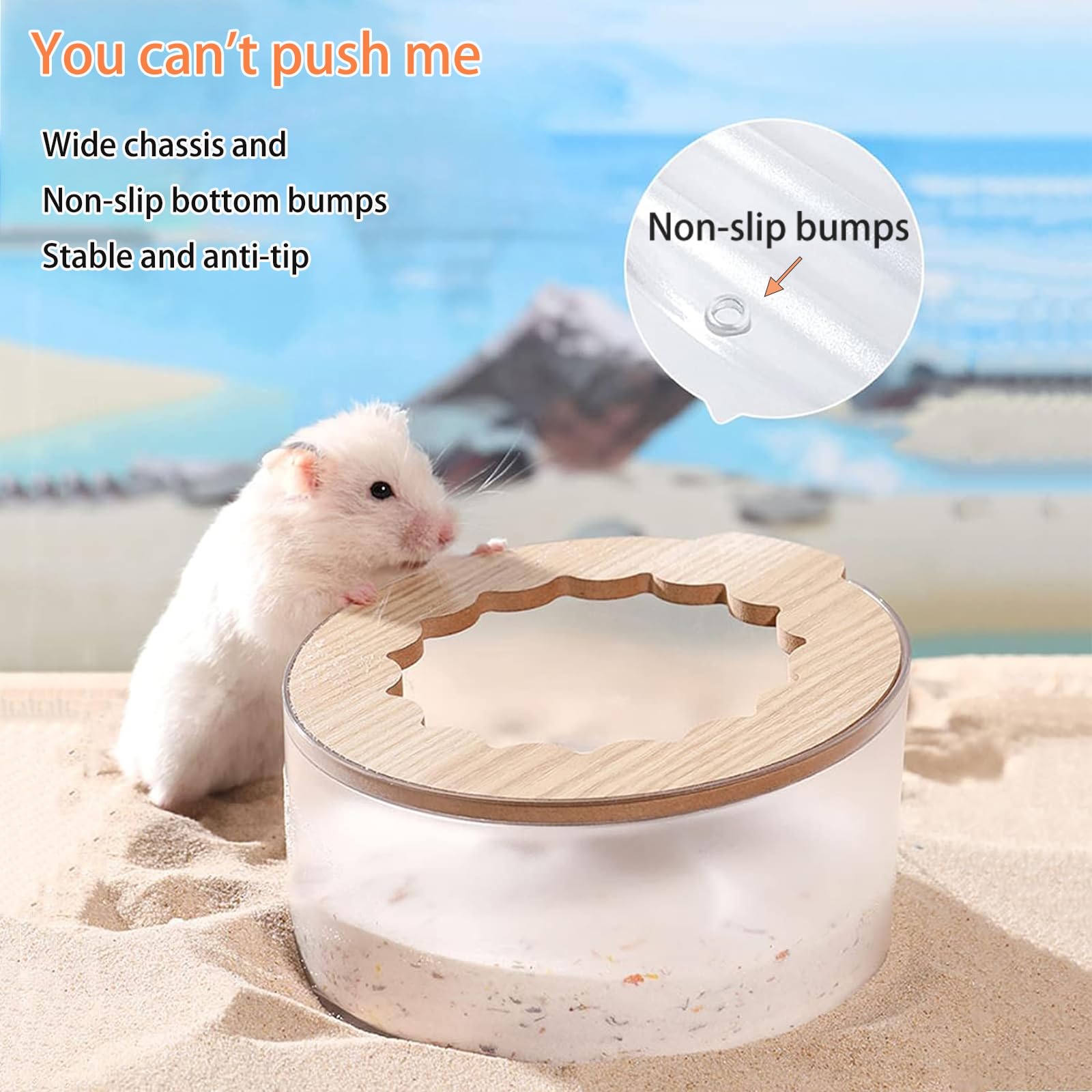 Marchul hamster sand bath container transparency highlights clear viewing