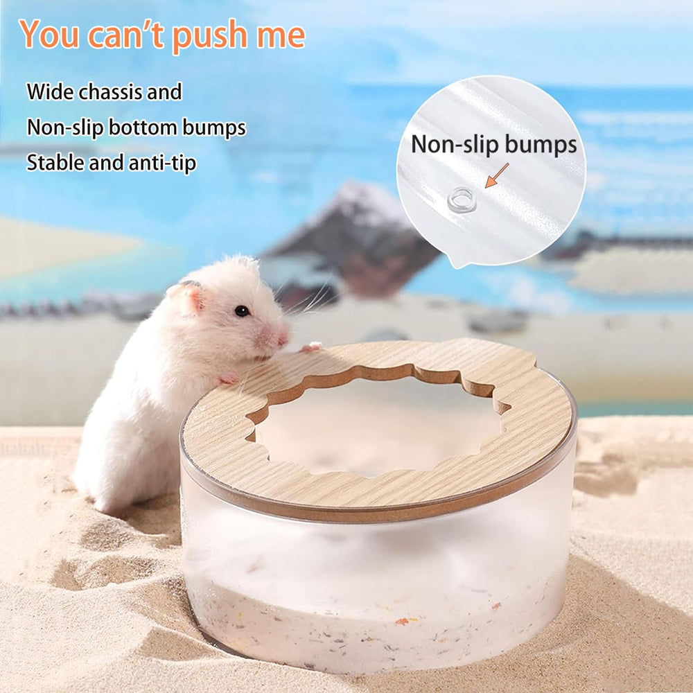Marchul hamster sand bath container transparency highlights clear viewing