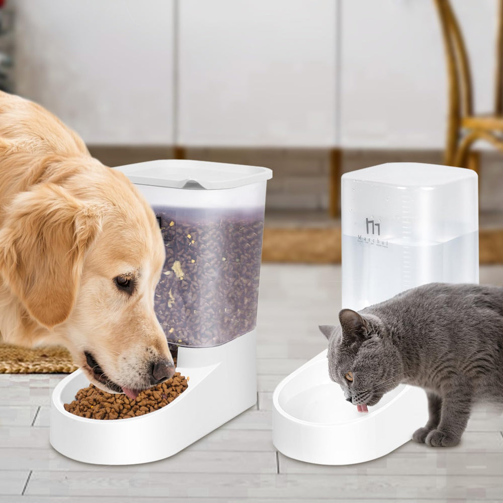 Marchul pet feeder set is used in kitchen for everyday meals.