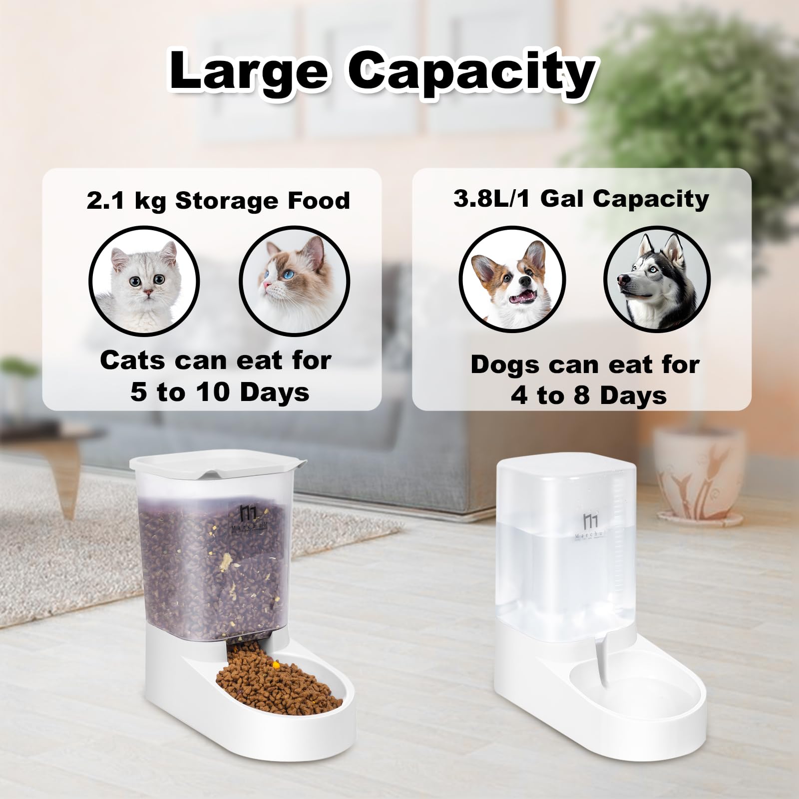Marchul water dispenser with automatic flow ensures continuous hydration.