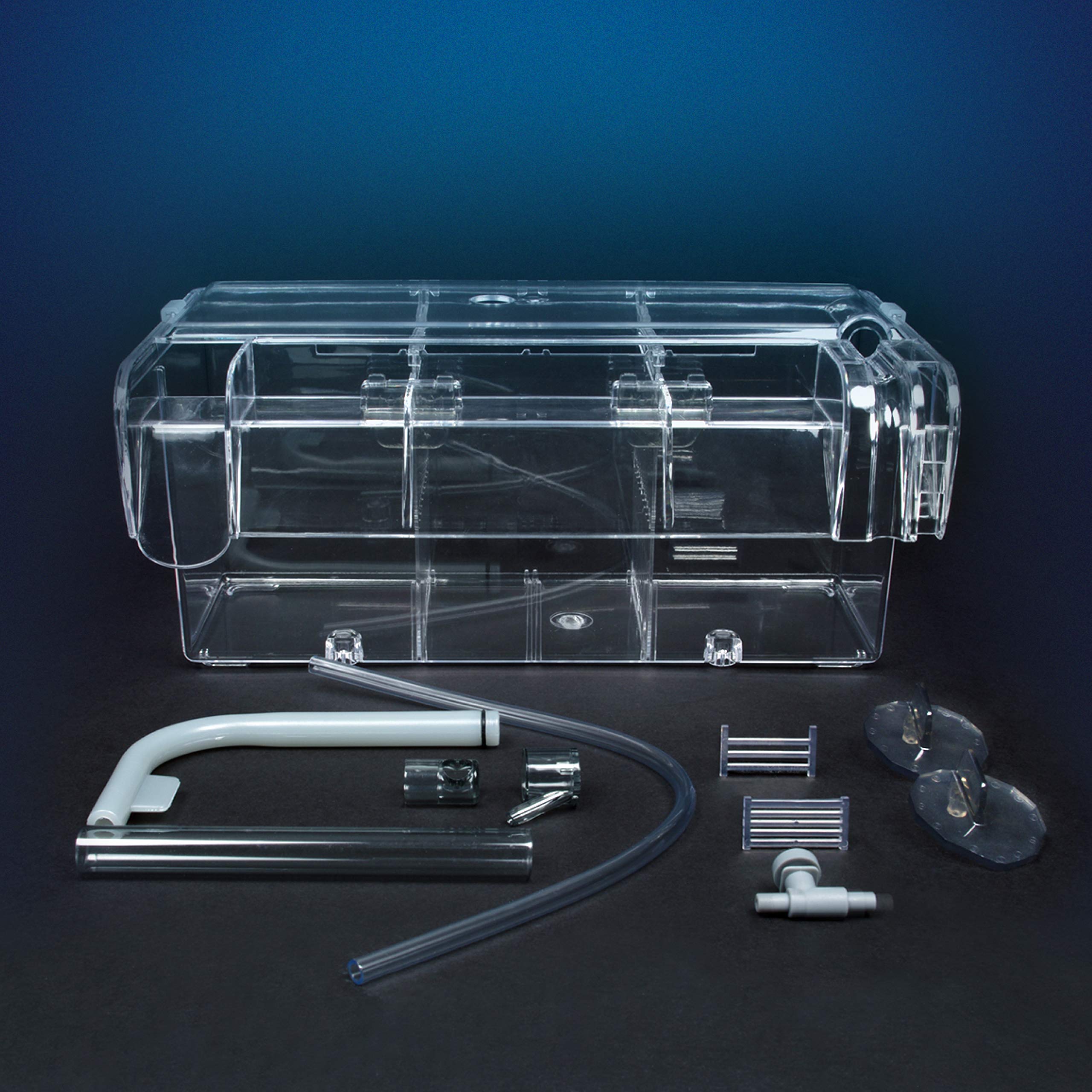 Marina Fluval three-compartment box demonstrates organized housing for simultaneous fry care