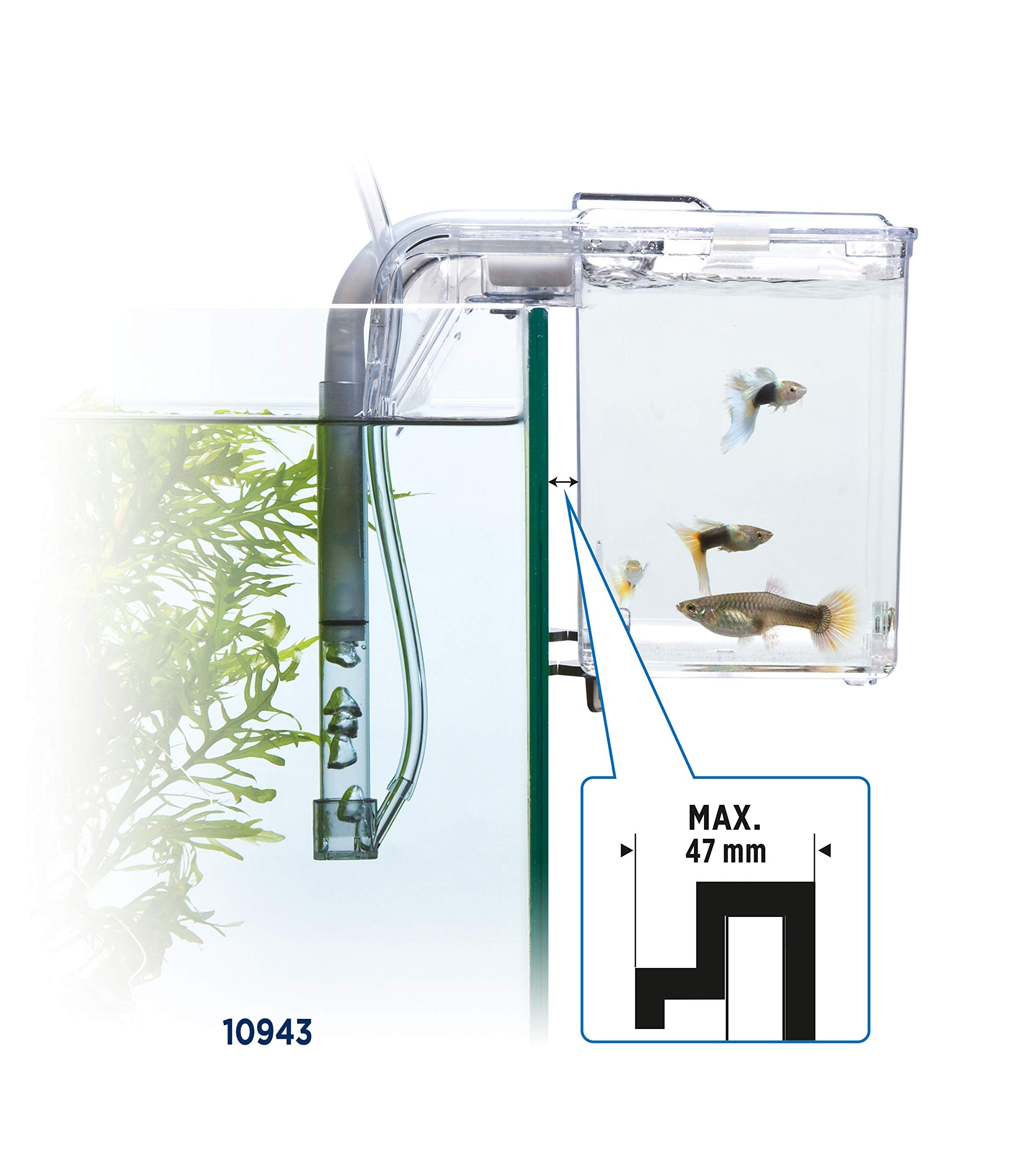 Marina Fluval observation-friendly design enables easy viewing and maintenance