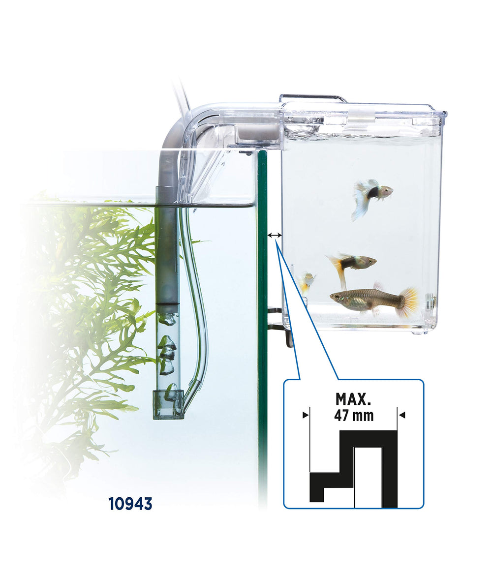 Marina Fluval observation-friendly design enables easy viewing and maintenance