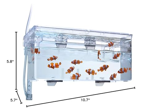 Marina Fluval space-saving box hangs on aquarium exterior for simple setup