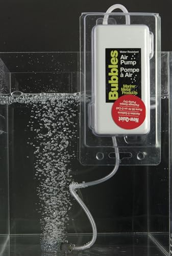 Marine Metal Bubbles weighted glass bead airstone enhances oxygenation for live bait
