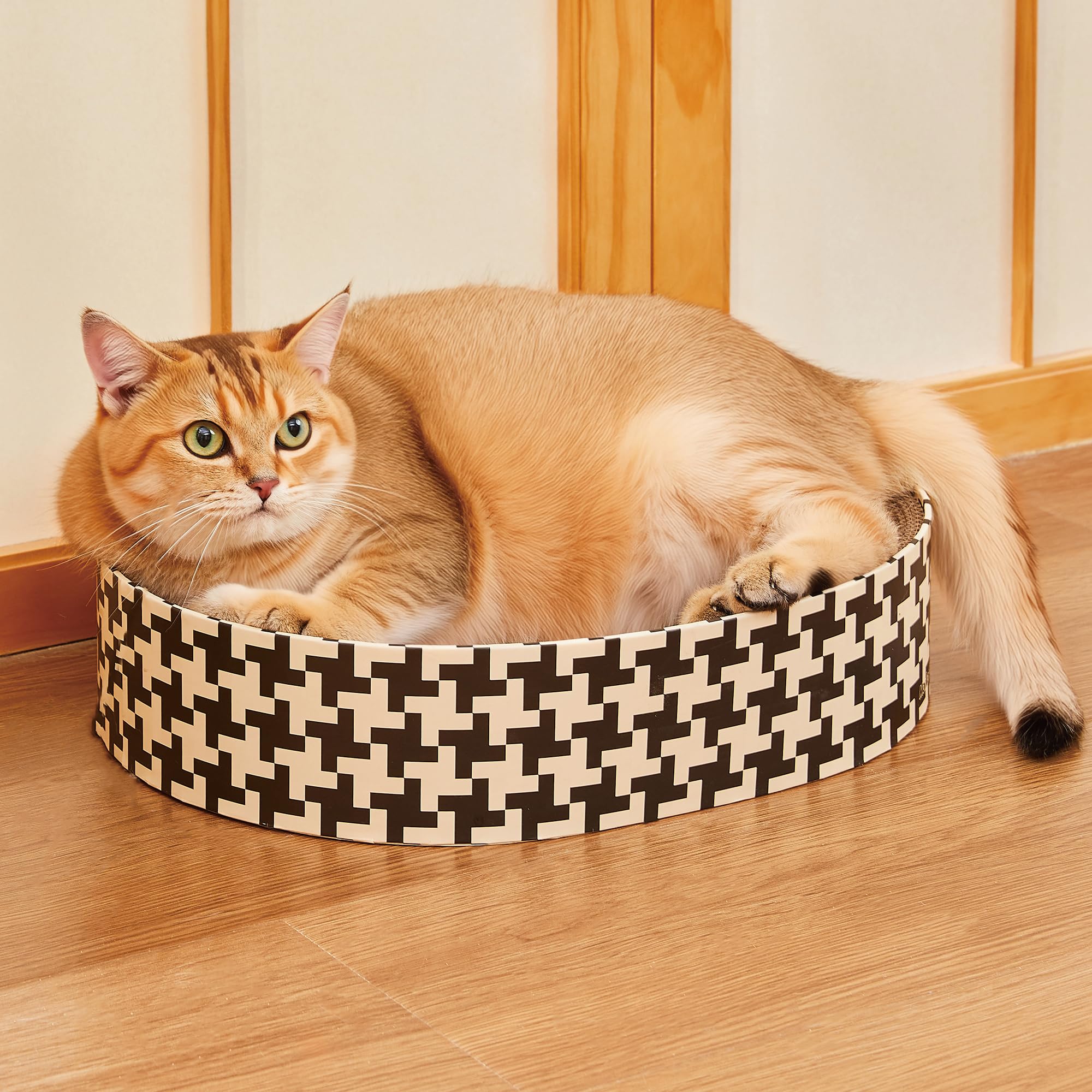 Markarbarka kitten scratch session demonstrates gentle paw-friendly design.