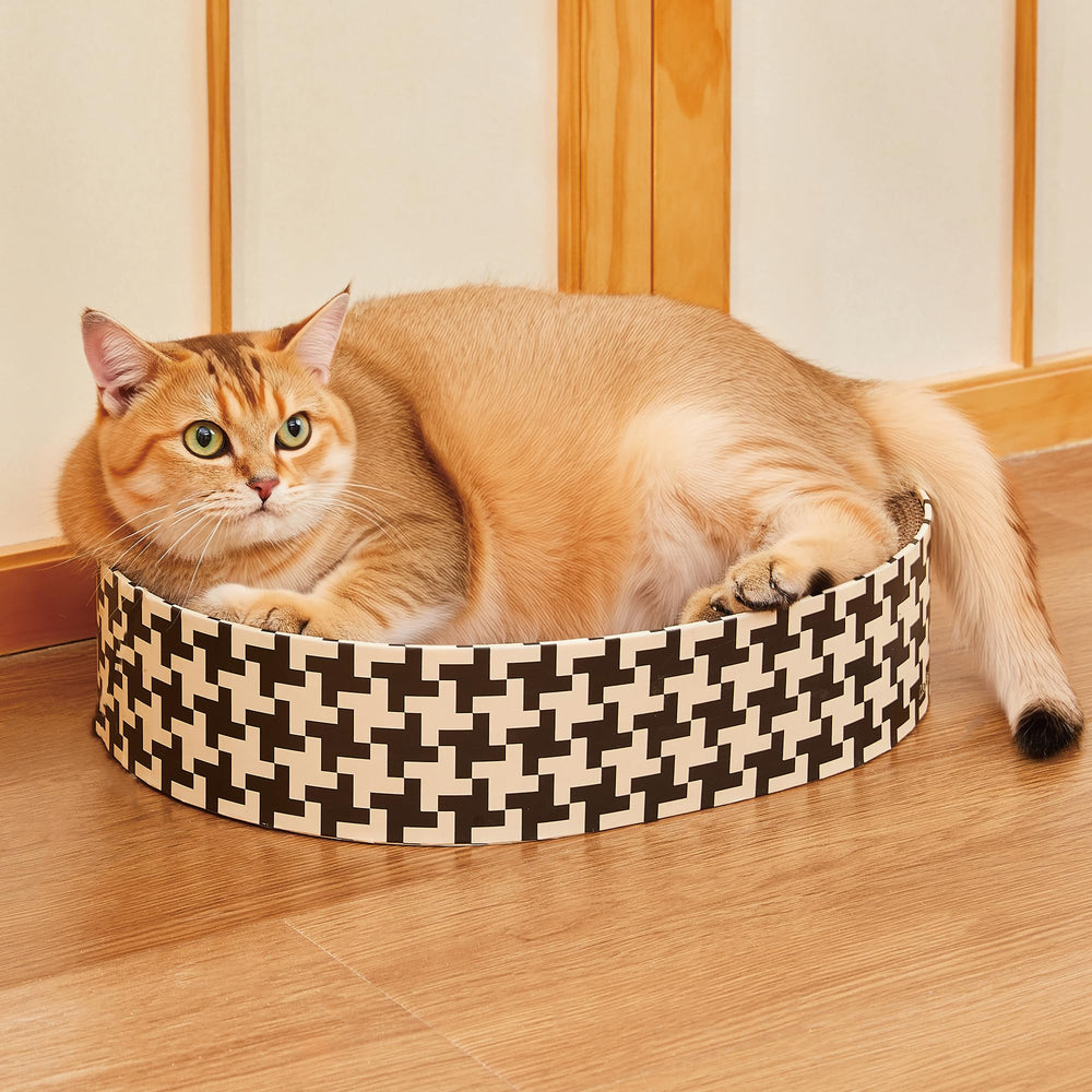 Markarbarka kitten scratch session demonstrates gentle paw-friendly design.