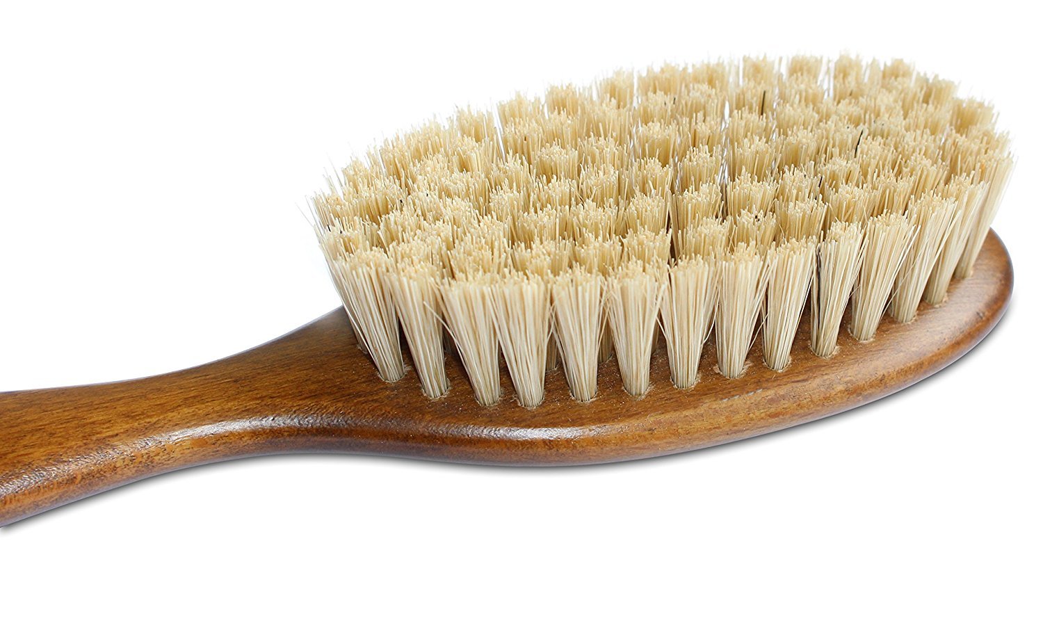 Mars Coat King Bristle Cat Brush with wooden handle for a secure grooming grip