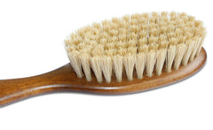Mars Coat King Bristle Cat Brush with wooden handle for a secure grooming grip