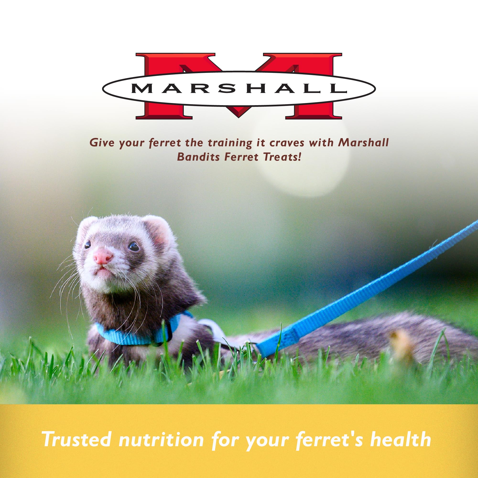 Marshall Bandits training reward snack supports positive reinforcement