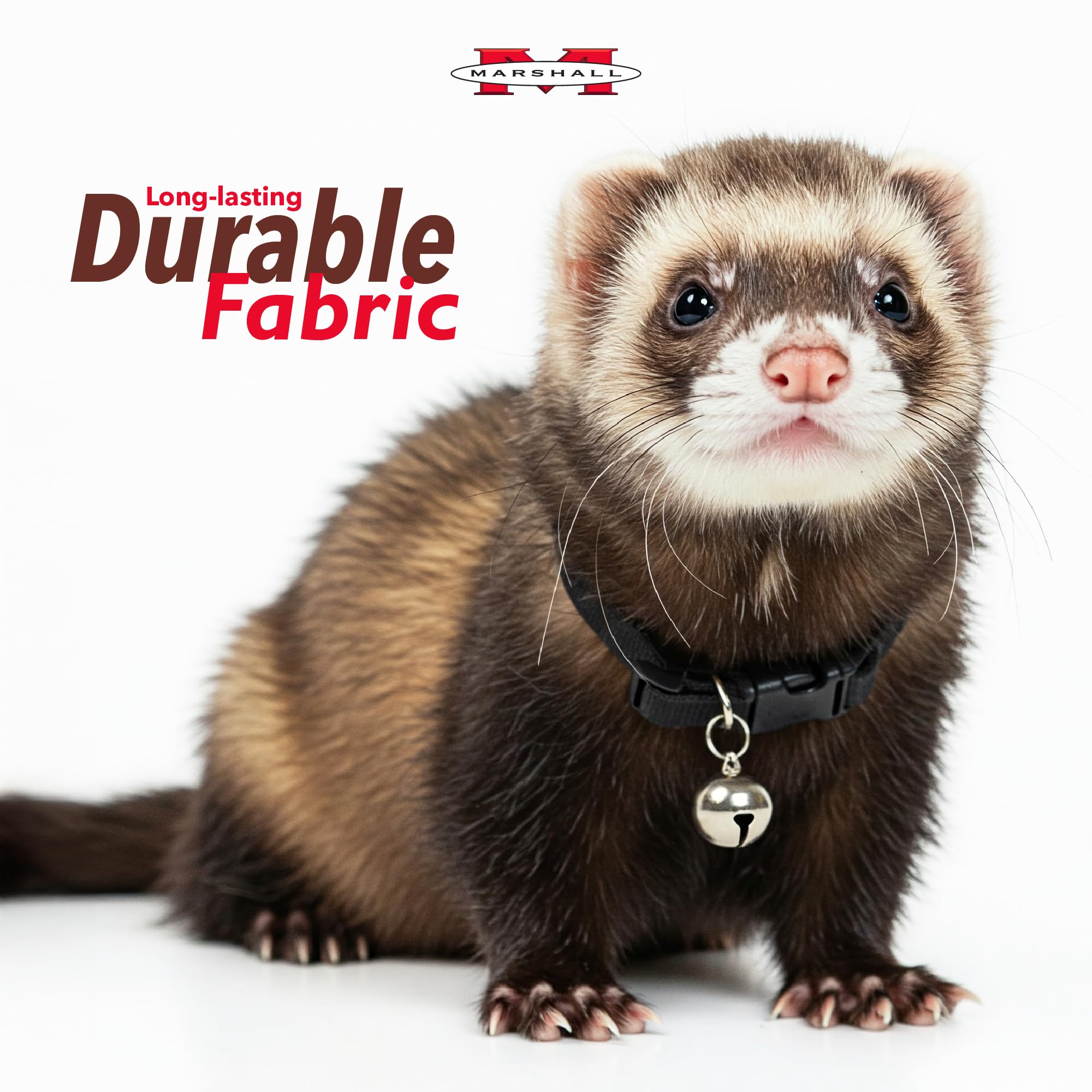 Marshall Bell Collar ferret red close-up highlights 3/8-inch nylon strap durability.