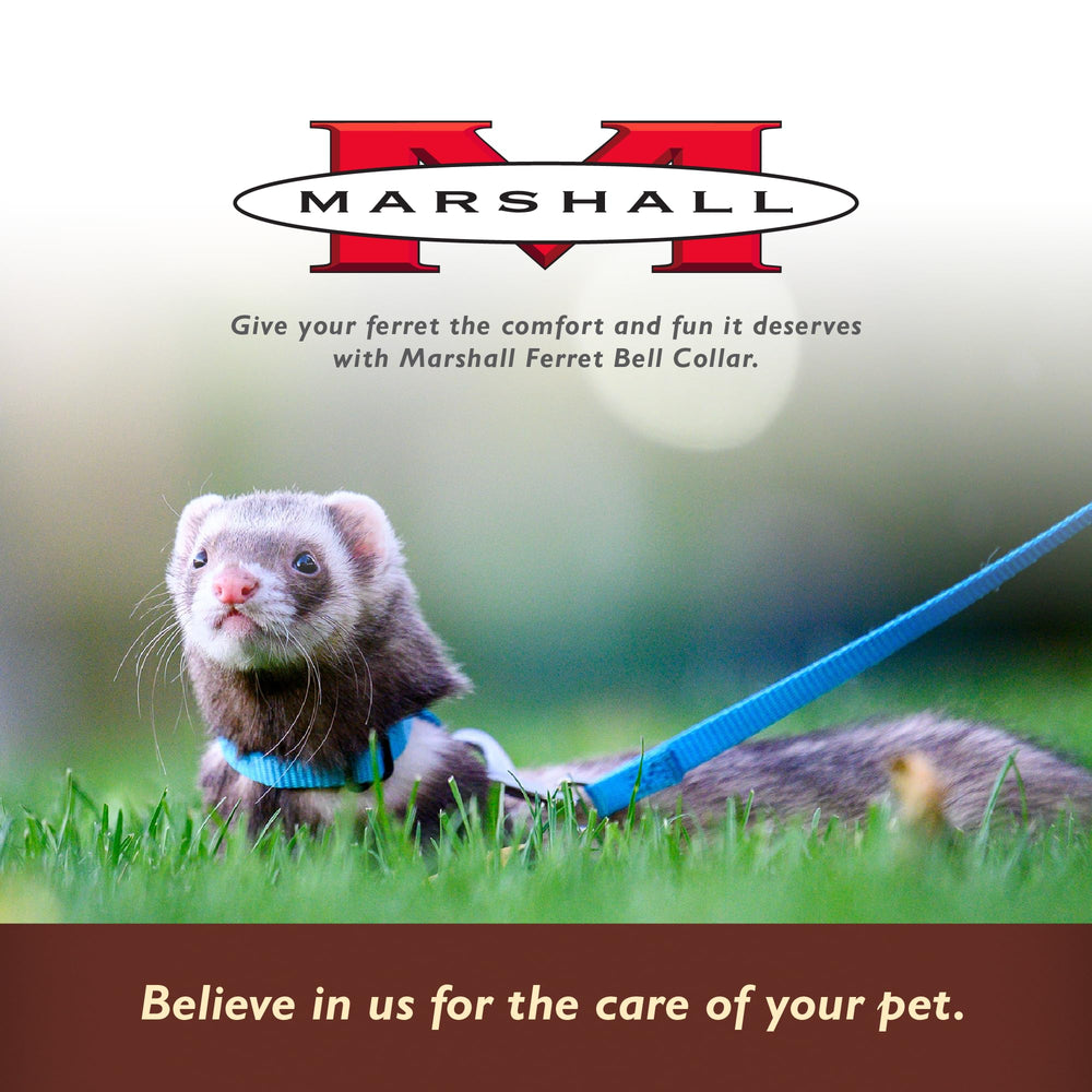 Marshall Bell Collar ferret red packaged image shows complete product details.