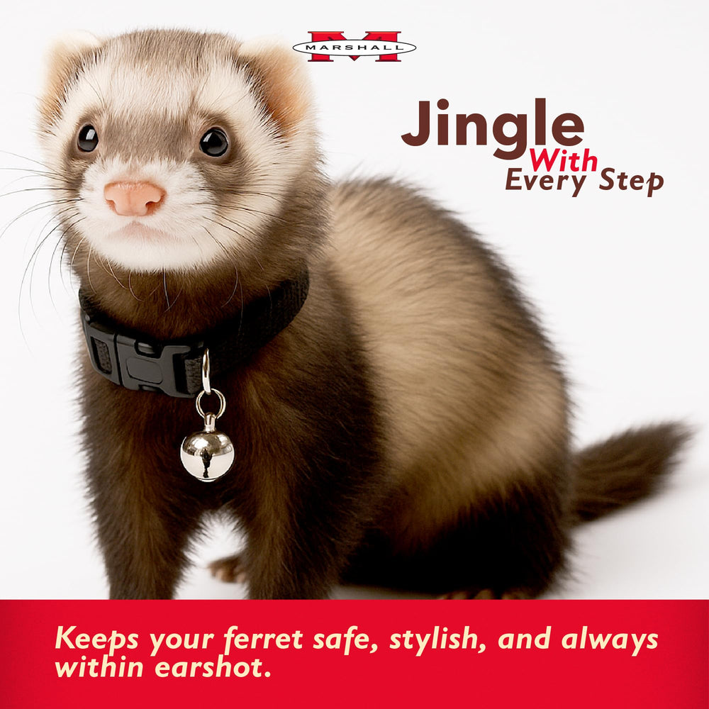 Marshall Bell Collar ferret red size guide illustrates proper fit.
