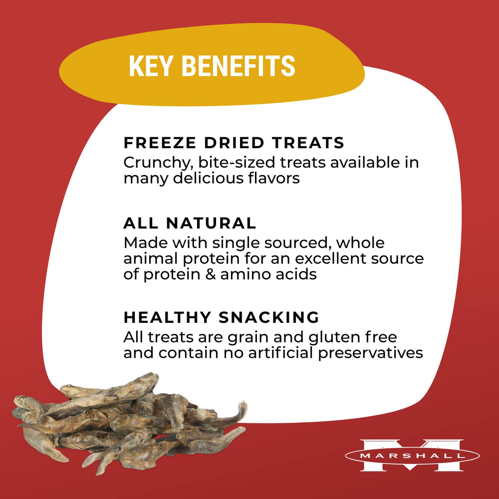 Marshall Pet Products Ferret Extreme Munchy Minnows close-up of a minnow piece showing natural protein