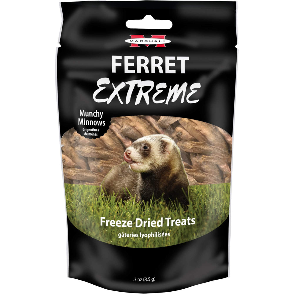 Marshall Ferret Extreme Munchy Minnows training reward used during a click-and-tait session with a ferret