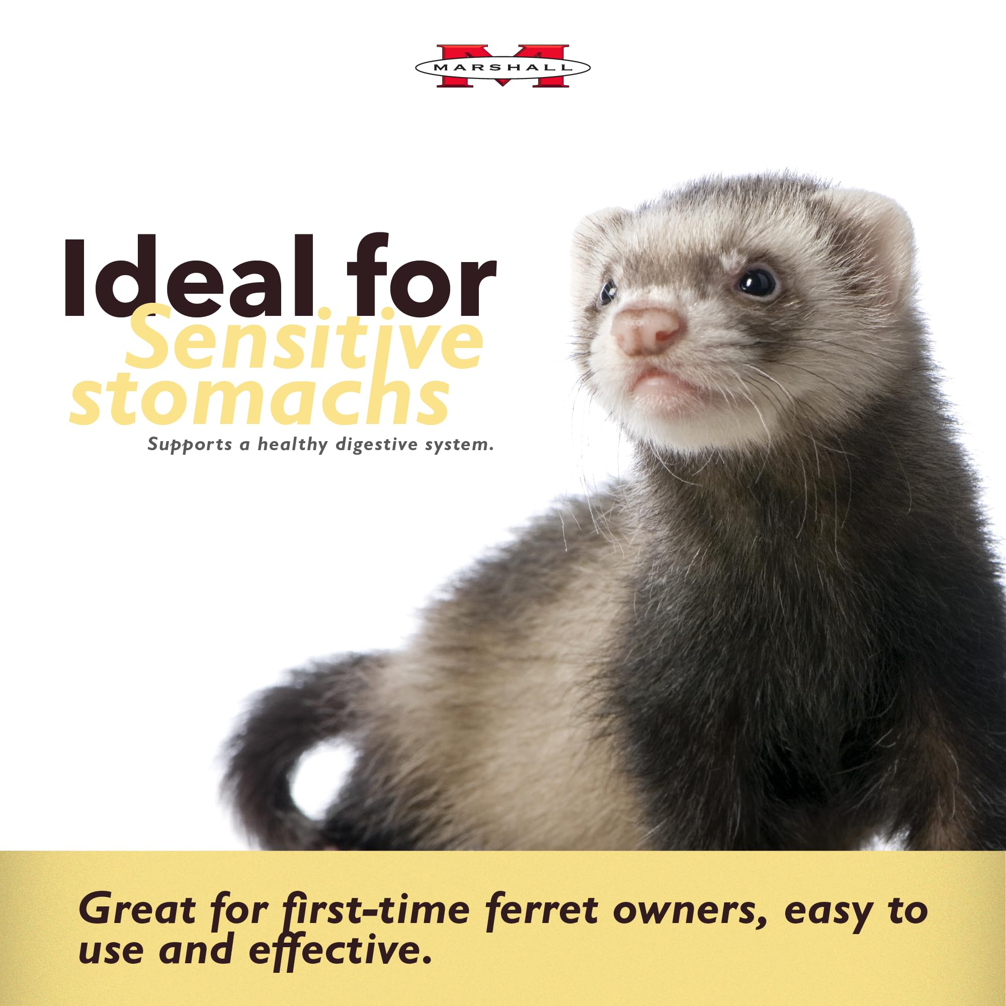 Marshall Ferret Lax paste dispensing nozzle enables precise dosing.