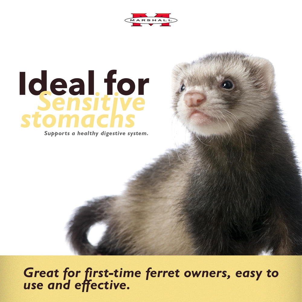 Marshall Ferret Lax paste dispensing nozzle enables precise dosing.